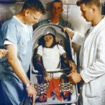 1024px-chimpanzee_ham_in_biopack_couch_for_mr-2_flight_msfc-6100114