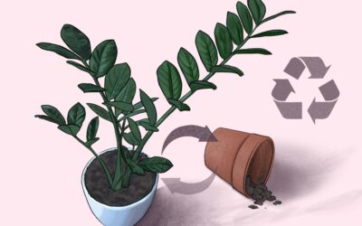 ReUżytkownia – opolskie centrum recyklingu